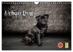 Urban Dogs - Hundekalender der anderen Art (Wandkalender 2025 DIN A4 quer), CALVENDO Monatskalender