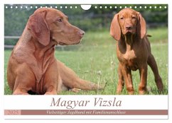 Magyar Vizsla - Vielseitiger Jagdhund mit Familienanschluss (Wandkalender 2025 DIN A4 quer), CALVENDO Monatskalender - Calvendo;Mielewczyk, Barbara