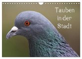 Tauben in der Stadt (Wandkalender 2025 DIN A4 quer), CALVENDO Monatskalender