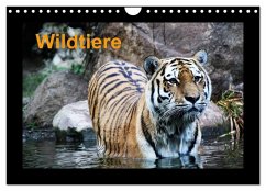 Wildtiere (Wandkalender 2025 DIN A4 quer), CALVENDO Monatskalender