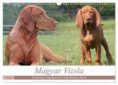 Magyar Vizsla - Vielseitiger Jagdhund mit Familienanschluss (Wandkalender 2025 DIN A3 quer), CALVENDO Monatskalender