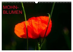 Mohnblumen (Wandkalender 2025 DIN A3 quer), CALVENDO Monatskalender