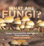 What are Fungi? Groups, Characteristics and Roles of Fungi Explained   Grade 6-8 Life Science