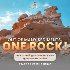 Out of Many Sediments, One Rock! Understanding Sedimentary Rock Types and Formation   Grade 6-8 Earth Science - Baby