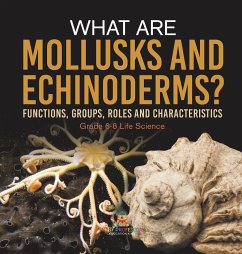 What are Mollusks and Echinoderms? Functions, Groups, Roles and Characteristics   Grade 6-8 Life Science - Baby