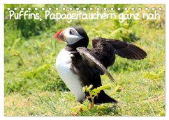 Puffins, Papageitauchern ganz nah (Tischkalender 2025 DIN A5 quer), CALVENDO Monatskalender