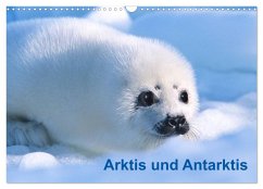 Arktis und Antarktis (Wandkalender 2025 DIN A3 quer), CALVENDO Monatskalender