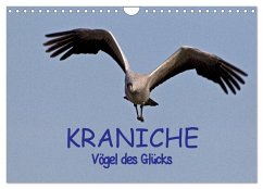 Kraniche - Vögel des Glücks (Wandkalender 2025 DIN A4 quer), CALVENDO Monatskalender - Calvendo;Weise, Ralf