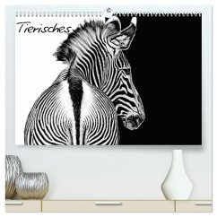 Tierisches (hochwertiger Premium Wandkalender 2025 DIN A2 quer), Kunstdruck in Hochglanz