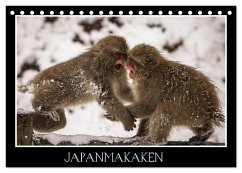 Japanmakaken (Tischkalender 2025 DIN A5 quer), CALVENDO Monatskalender