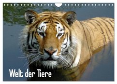 Welt der Tiere (Wandkalender 2025 DIN A4 quer), CALVENDO Monatskalender