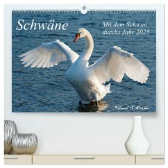 Mit dem Schwan durchs Jahr 2025 (hochwertiger Premium Wandkalender 2025 DIN A2 quer), Kunstdruck in Hochglanz