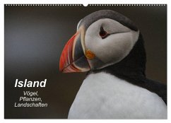 Island: Vögel, Pflanzen, Landschaften (Wandkalender 2025 DIN A2 quer), CALVENDO Monatskalender