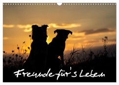 Hunde - Freunde für's Leben (Wandkalender 2025 DIN A3 quer), CALVENDO Monatskalender