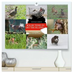 Emotionale Momente: Wilde Tiere in Deutschland (hochwertiger Premium Wandkalender 2025 DIN A2 quer), Kunstdruck in Hochglanz