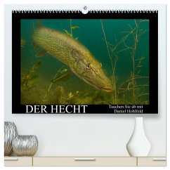 Der Hecht - Tauchen Sie ab mit Daniel Hohlfeld (hochwertiger Premium Wandkalender 2025 DIN A2 quer), Kunstdruck in Hochglanz