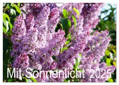 Mit Sonnenlicht (Wandkalender 2025 DIN A4 quer), CALVENDO Monatskalender