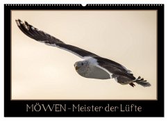 Möwen - Meister der Lüfte (Wandkalender 2025 DIN A2 quer), CALVENDO Monatskalender