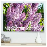 Mit Sonnenlicht (hochwertiger Premium Wandkalender 2025 DIN A2 quer), Kunstdruck in Hochglanz