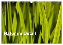 Natur im Detail (Wandkalender 2025 DIN A3 quer), CALVENDO Monatskalender