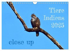 Tiere Indiens close up (Wandkalender 2025 DIN A4 quer), CALVENDO Monatskalender