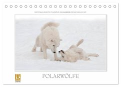 Emotionale Momente: Polarwölfe. (Tischkalender 2025 DIN A5 quer), CALVENDO Monatskalender