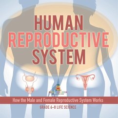 Human Reproductive System   How the Male and Female Reproductive System Works   Grade 6-8 Life Science - Baby