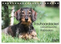 Liebenswerte Rabauken - Rauhaardackel (Tischkalender 2025 DIN A5 quer), CALVENDO Monatskalender