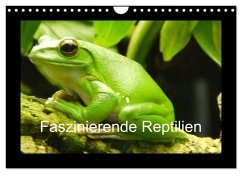 Faszinierende Reptilien (Wandkalender 2025 DIN A4 quer), CALVENDO Monatskalender