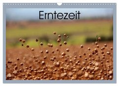 Erntezeit (Wandkalender 2025 DIN A3 quer), CALVENDO Monatskalender