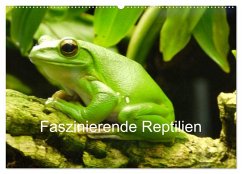 Faszinierende Reptilien (Wandkalender 2025 DIN A2 quer), CALVENDO Monatskalender