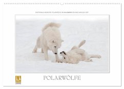 Emotionale Momente: Polarwölfe. (Wandkalender 2025 DIN A2 quer), CALVENDO Monatskalender - Calvendo;Gerlach GDT, Ingo