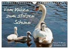 Vom Küken zum stolzen Schwan (Wandkalender 2025 DIN A4 quer), CALVENDO Monatskalender