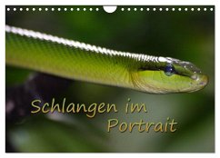Schlangen im Portrait (Wandkalender 2025 DIN A4 quer), CALVENDO Monatskalender
