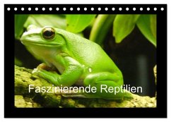 Faszinierende Reptilien (Tischkalender 2025 DIN A5 quer), CALVENDO Monatskalender