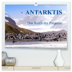 Antarktis - Das Reich der Pinguine (hochwertiger Premium Wandkalender 2025 DIN A2 quer), Kunstdruck in Hochglanz