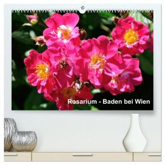 Baden bei Wien - Rosarium (hochwertiger Premium Wandkalender 2025 DIN A2 quer), Kunstdruck in Hochglanz