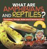 What are Amphibians and Reptiles?... - Bild 1