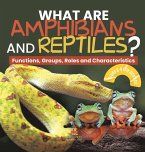 What are Amphibians and Reptiles? Functions, Groups, Roles and Characteristics   Grade 6-8 Life Science