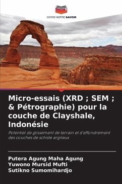 Micro-essais (XRD ; SEM ; & Pétrographie) pour la couche de Clayshale, Indonésie - Maha Agung, Putera Agung;Mursid Mufti, Yuwono;Sumomihardjo, Sutikno