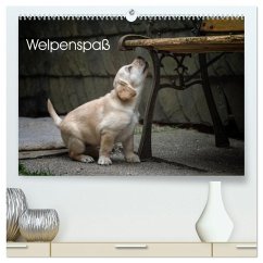 Welpenspaß (hochwertiger Premium Wandkalender 2025 DIN A2 quer), Kunstdruck in Hochglanz