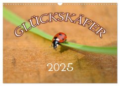 Marienkäfer 2025 (Wandkalender 2025 DIN A3 quer), CALVENDO Monatskalender - Calvendo;Geduldig, Bildagentur