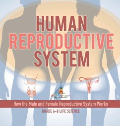 Human Reproductive System   How the Male and Female Reproductive System Works   Grade 6-8 Life Science - Baby