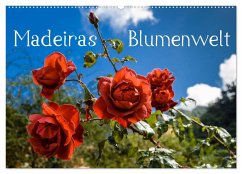 Madeiras Blumenwelt (Wandkalender 2025 DIN A2 quer), CALVENDO Monatskalender
