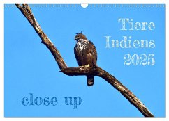 Tiere Indiens close up (Wandkalender 2025 DIN A3 quer), CALVENDO Monatskalender - Bergermann, Manfred