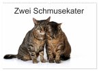 Zwei Schmusekater (Wandkalender 2025 DIN A2 quer), CALVENDO Monatskalender