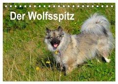 Der Wolfsspitz (Tischkalender 2025 DIN A5 quer), CALVENDO Monatskalender - Calvendo;Werner-Ney, S.