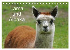 Lama und Alpaka (Tischkalender 2025 DIN A5 quer), CALVENDO Monatskalender