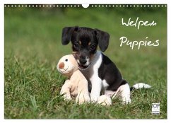 Welpen - Puppies (Wandkalender 2025 DIN A3 quer), CALVENDO Monatskalender