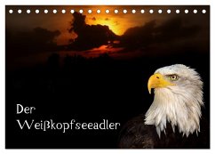 Der Weißkopfseeadler (Tischkalender 2025 DIN A5 quer), CALVENDO Monatskalender